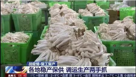 張掖穩(wěn)產(chǎn)保供戰(zhàn)疫情 食用農(nóng)產(chǎn)品初加工筑牢民生防線